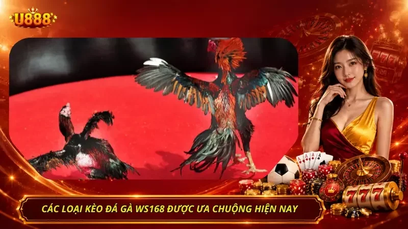 Điểm danh các loại kèo đá gà được người chơi ưa chuộng